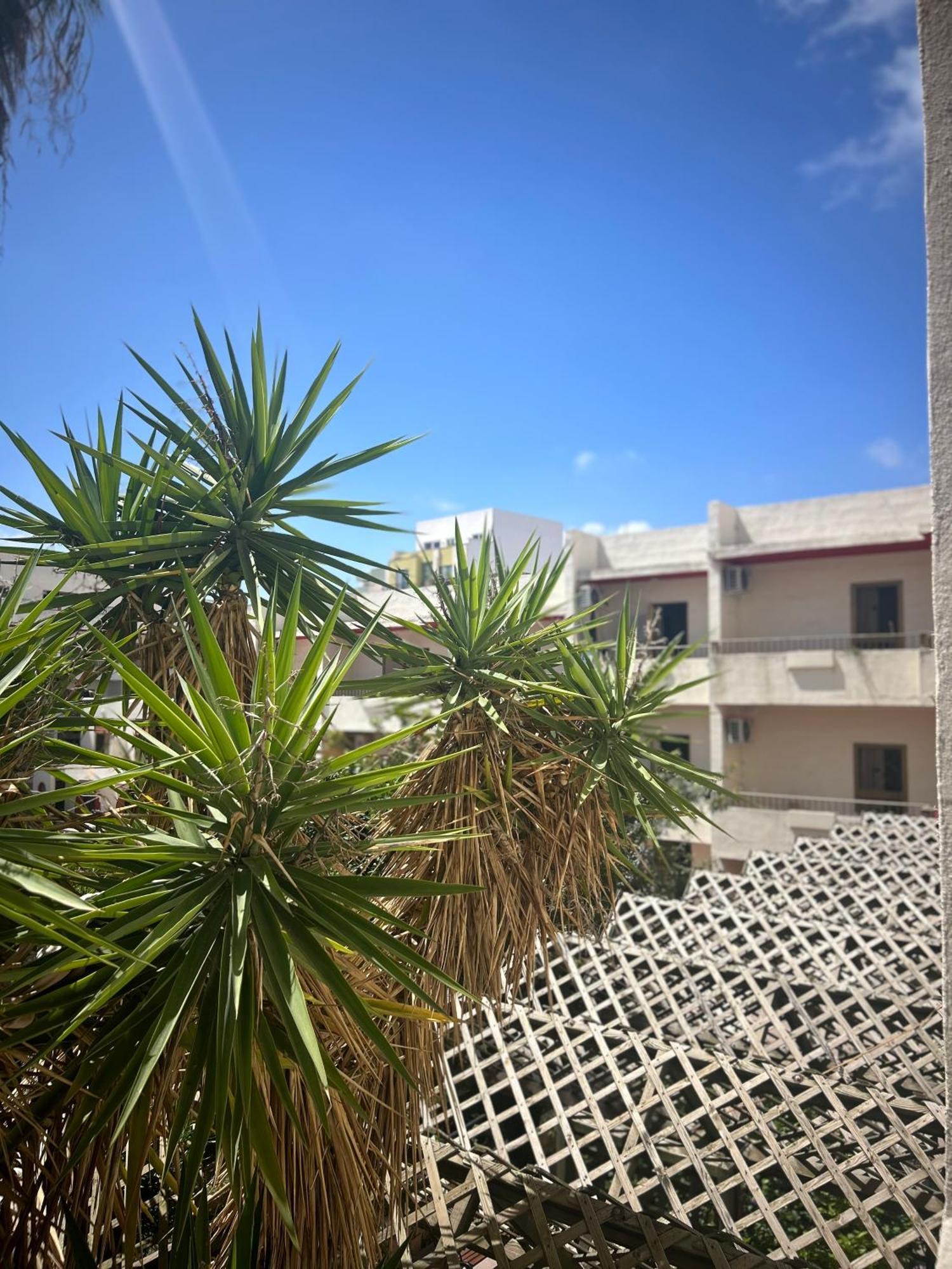 公寓式飯店 The San Anton San Pawl il-Baħar